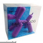 Purple Balloon Dog Pencil Eraser For the Pop Artist's Drawing Mistakes by NuOp Design  B00ZVATXXE